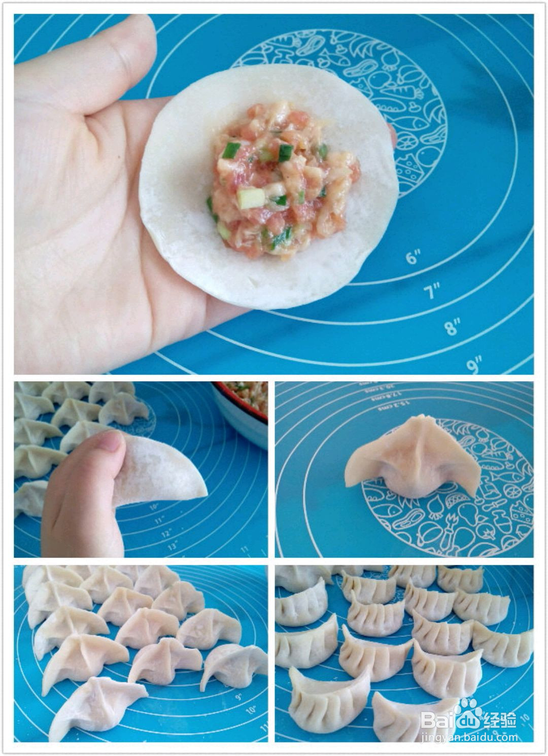 萝卜丝鲜肉饺的做法