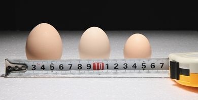 什么是最好的标准