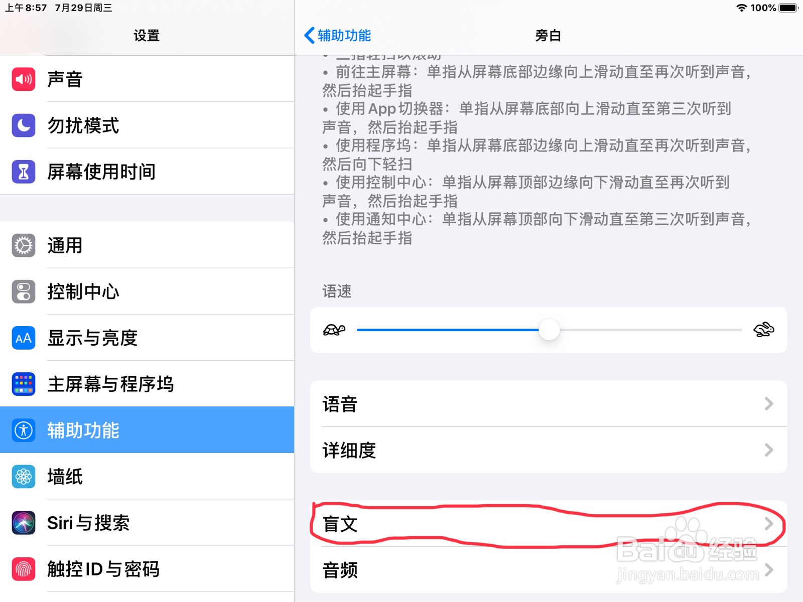 iPad怎么在旁白打开盲文输入的自动翻译