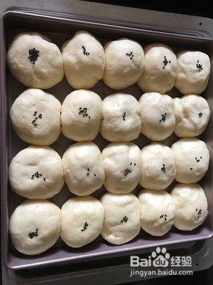 蜂蜜奶香小餐包的做法