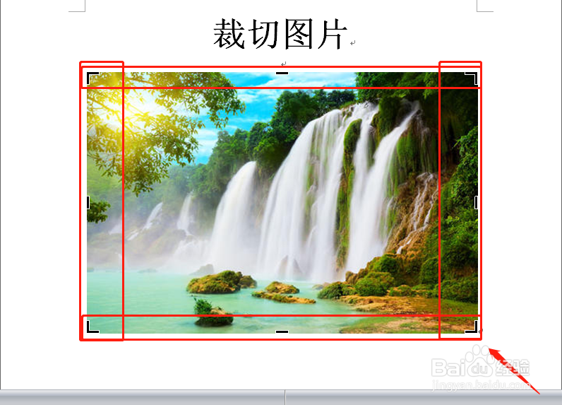 Word文档中怎么裁切图片？