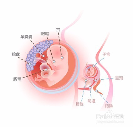 这几点告诉你孕妇要不要穿防辐射服