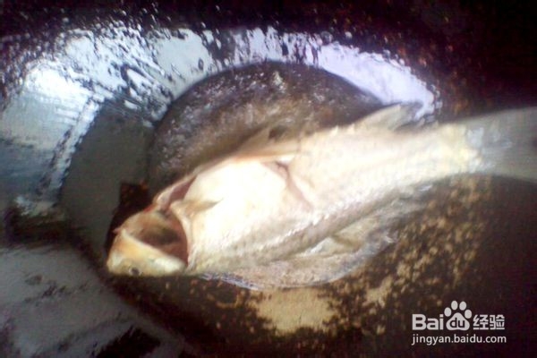 萝卜炖鲫鱼-----营养美味