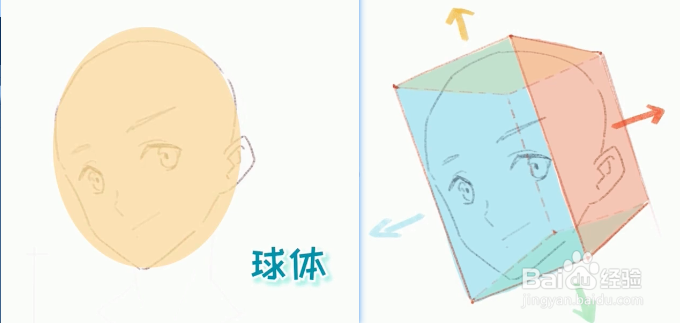 绘伴板绘教程-动漫脸部五官画法