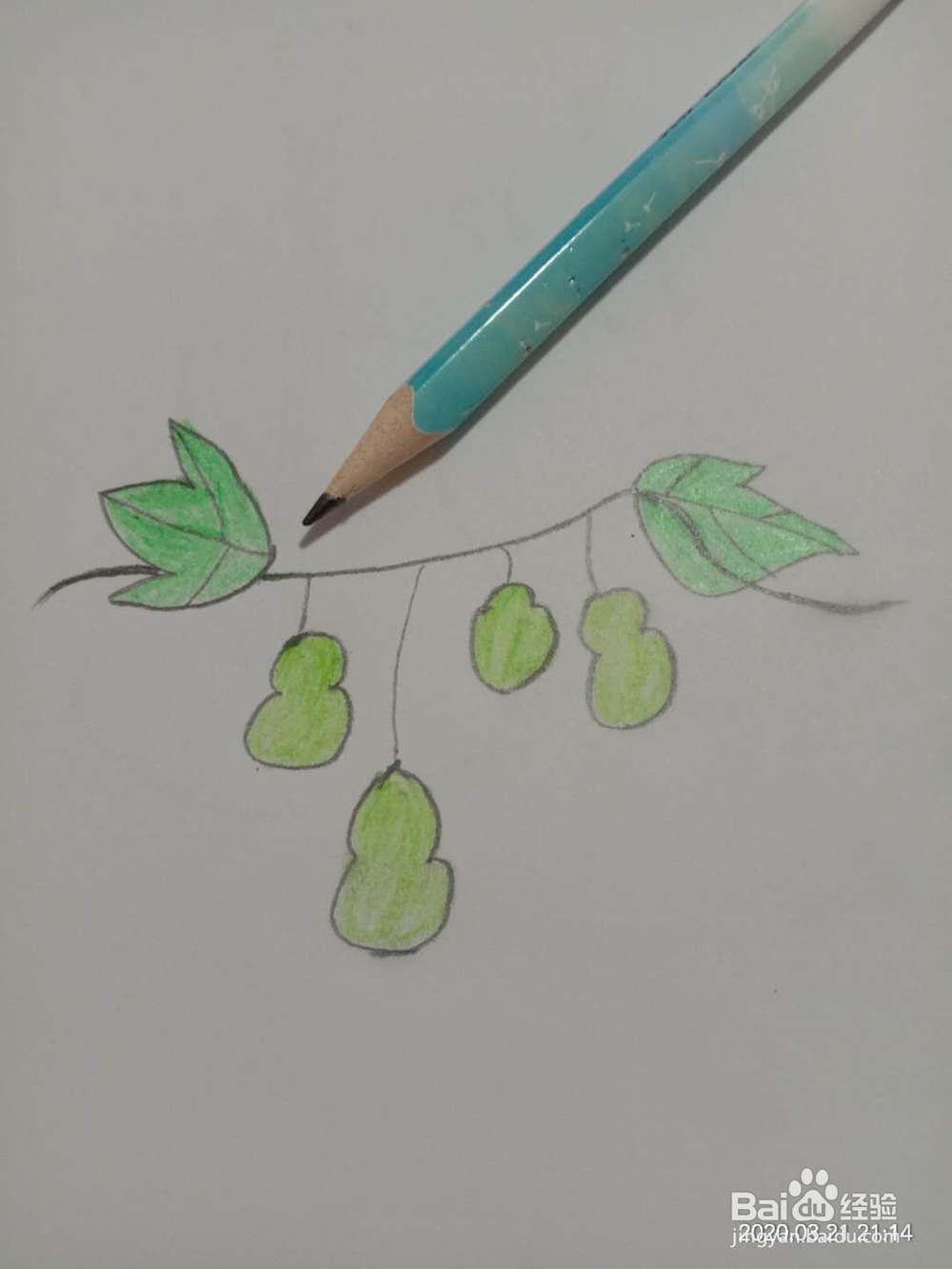 简笔画 如何画葫芦