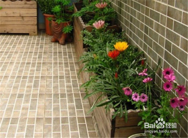 怎么让阳台充满绿意