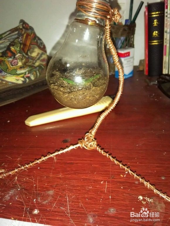 灯泡盆景怎么制作
