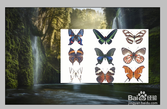 photoshop选择移动工具免费教程