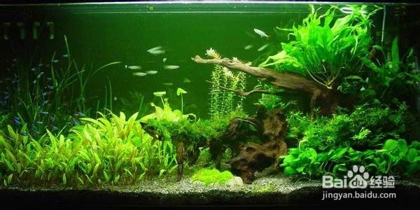 怎样预防静电火灾