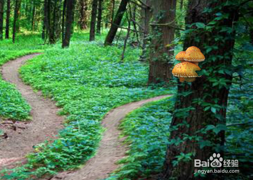 [photoshop教程]图片合成—小世界