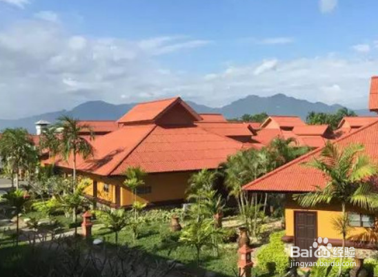 跟女朋友去清莱玩什么？