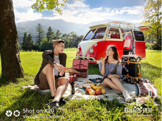 oppor11和vivox20哪个好