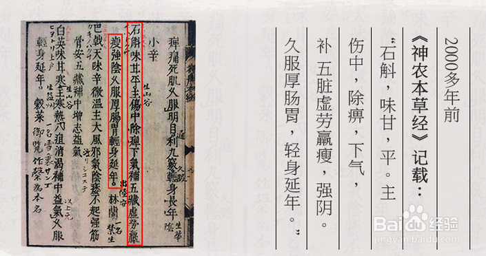 怎样直截了当识别真米斛