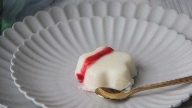 花型芝士奶冻的做法