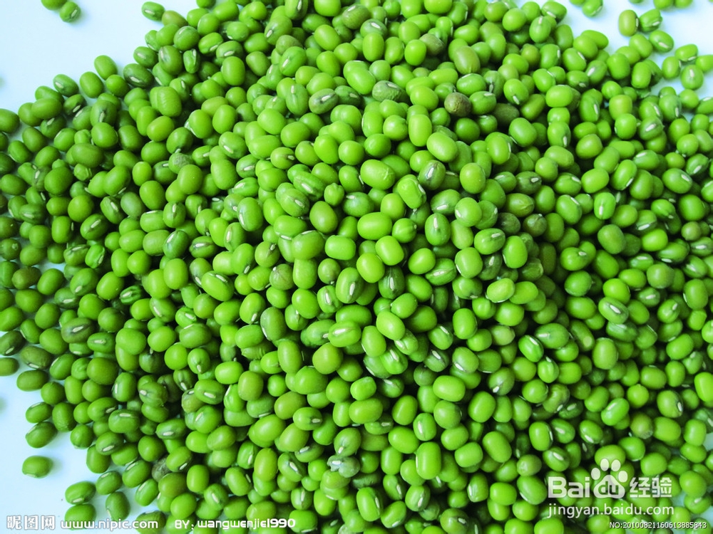 夏天吃什么排毒