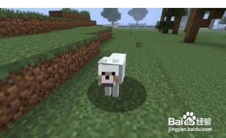 我的世界原版如何获得玩家头颅