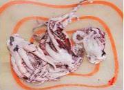 怎样自制孜然鱿鱼须