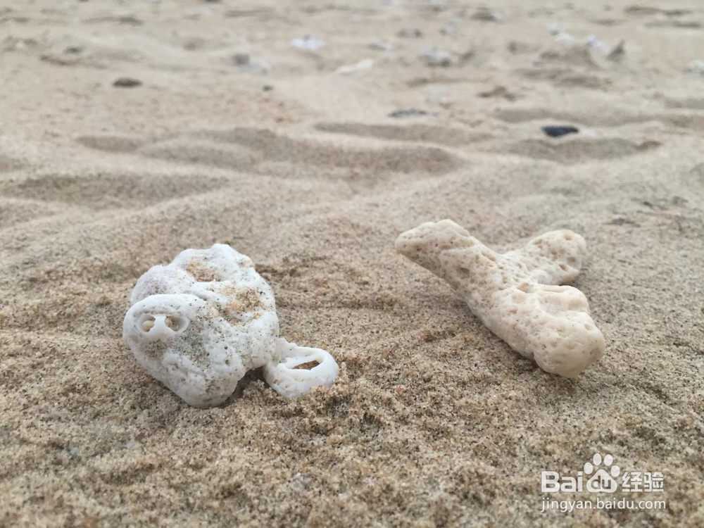 广西北海涠洲岛旅游攻略