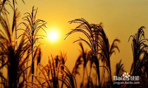 心情沮丧时，如何排解