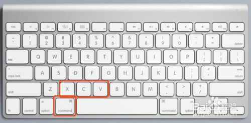MacOS常用6大键盘快捷键之复制粘贴