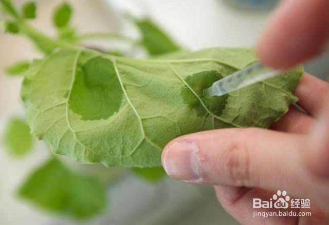 装修污染有哪些