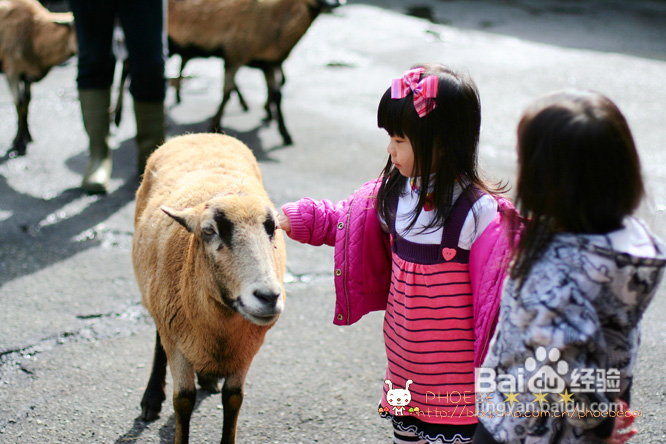 拾海的孩子&亲亲小动物(组图)