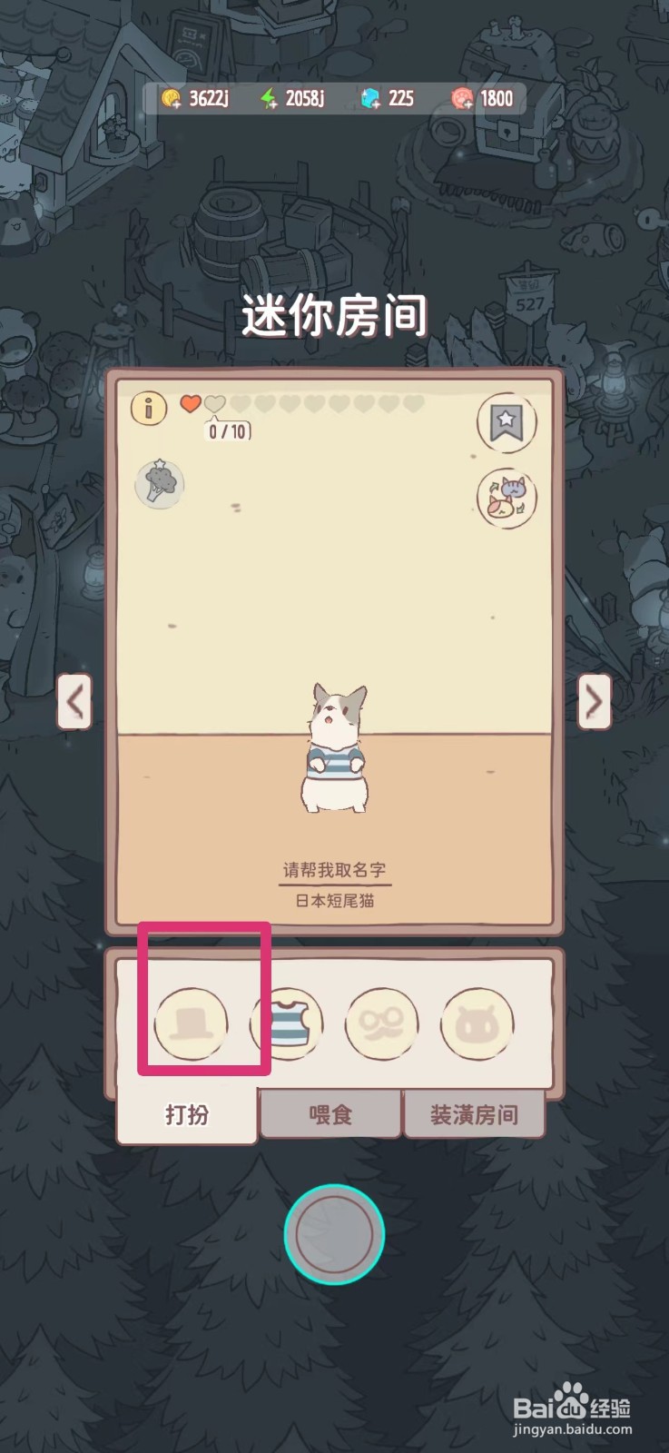 猫咪和汤如何给猫咪戴兔子帽子