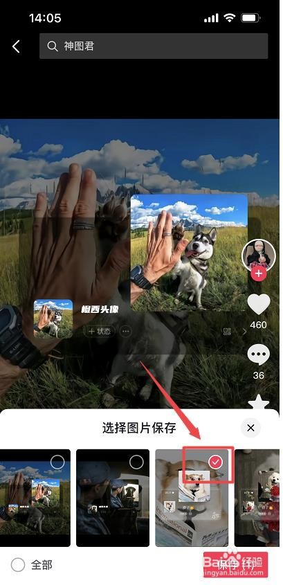 抖音里的图片怎么提取