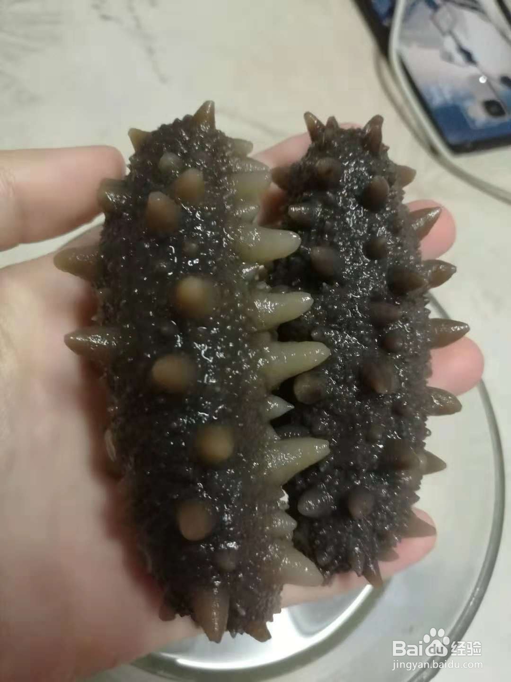 泡发海参事宜