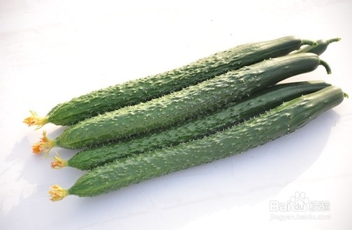 芦荟面膜怎么做 几种芦荟面膜的做法