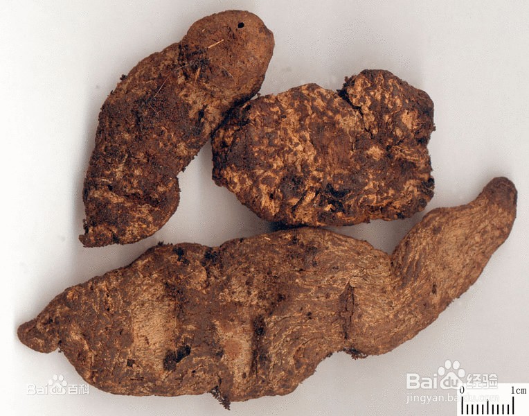 常见病便秘：[5]饮食疗法