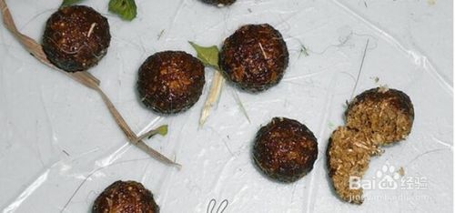 兔子毛球症怎么办 百度经验