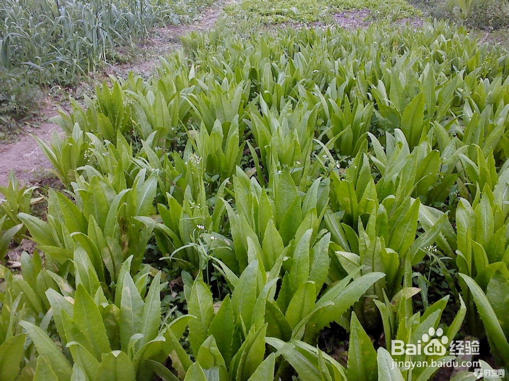 健康----你在不在意？