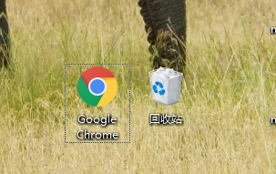 chrome浏览器提示您的连接不是私密连接怎么办