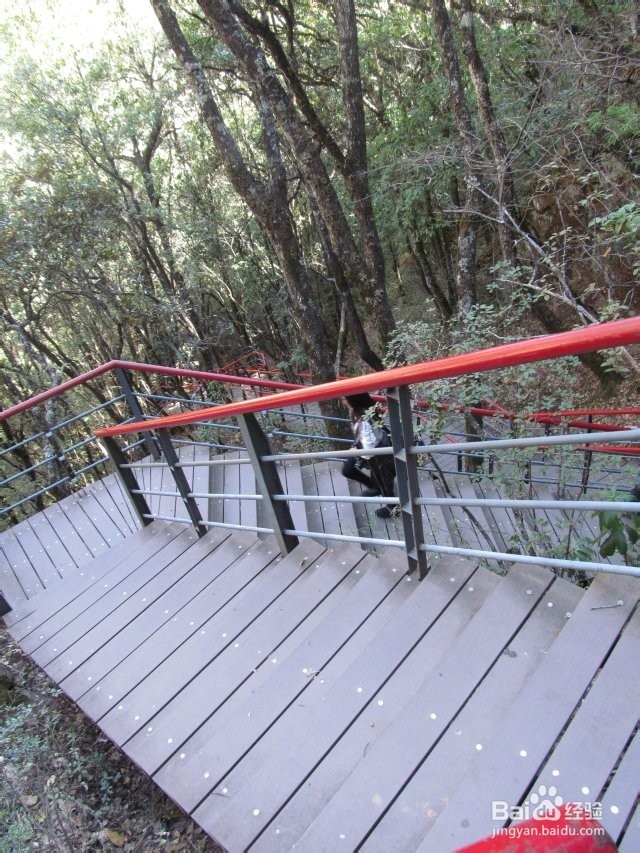 丽江到黎明千龟山景区应该怎么玩?