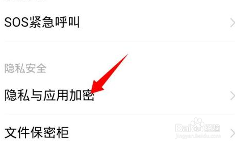 vivo隐私与应用加密忘记