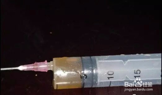 如何阳台盆栽种青菜?