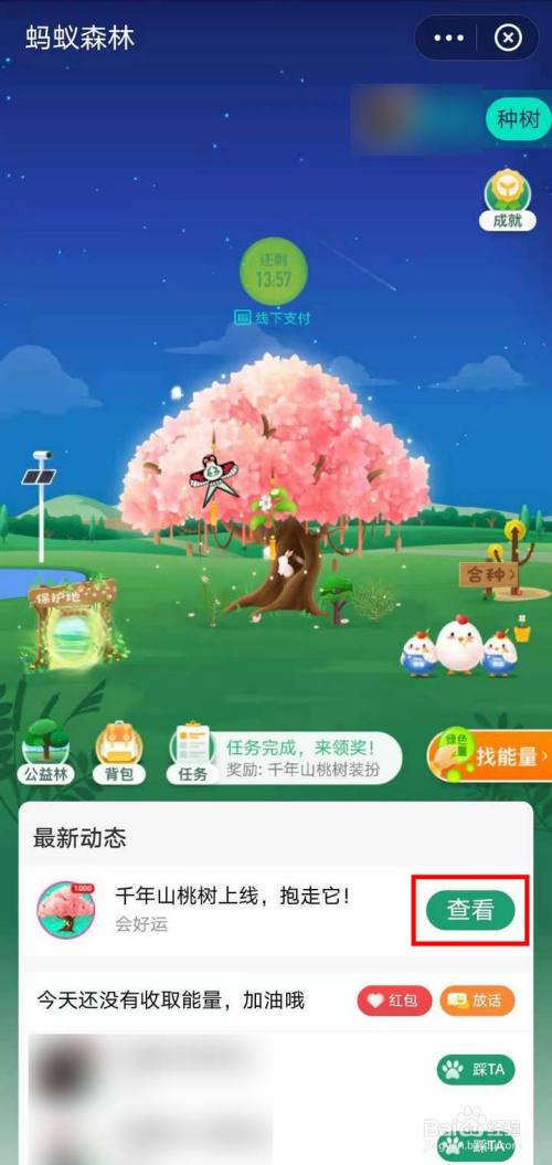 支付宝蚂蚁森林怎么获取千年山桃树壁纸