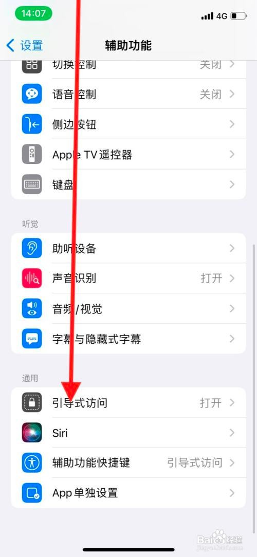 苹果系统引导式访问在哪里设置访问密码？