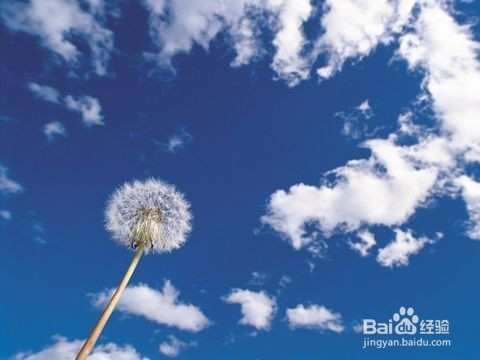 三样中药让老人告别痴呆,精神气爽