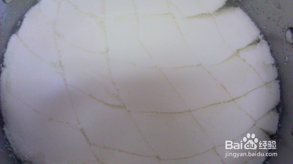 味美鲜香的马苏里拉奶酪