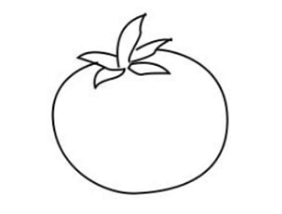 简笔画-如何画番茄