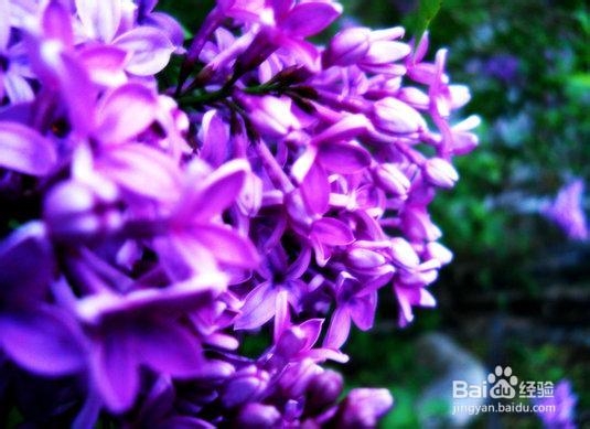 如何将香水发挥最优功效?