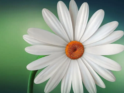 春天的描述是什么