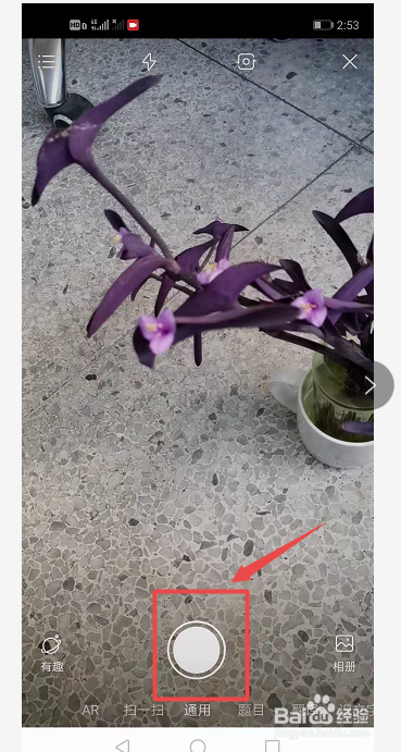 路上看到一株花很漂亮,想要知道名字怎么办