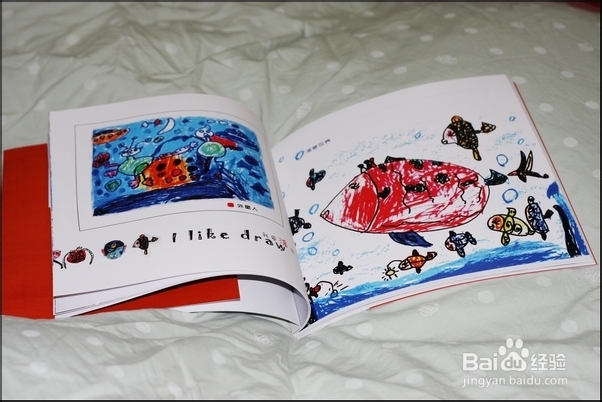 生活画册基本概念入门之内容分类篇