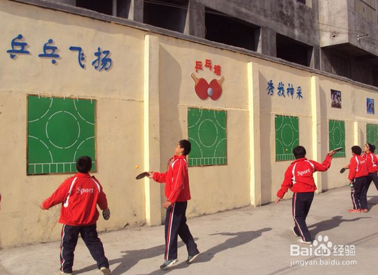 新手应该怎样学习乒乓球？