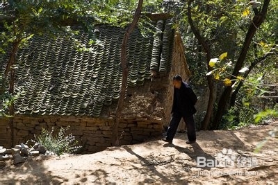 怎样才能实现农村劳动力的转移