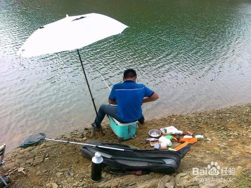 野钓中那些鱼有毒还有硬刺