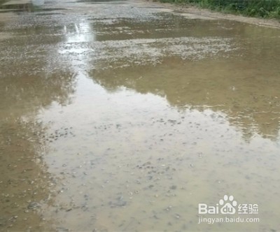 水泥路地面起砂怎么办?2016最全修补方案